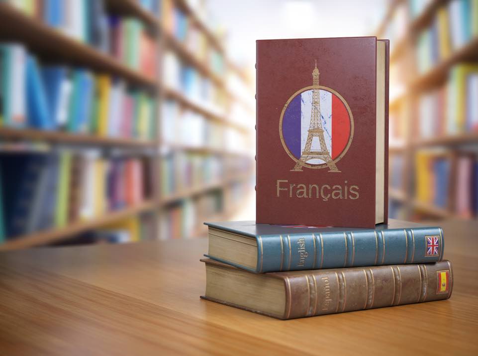 フランス語読解力学習方法イメージ